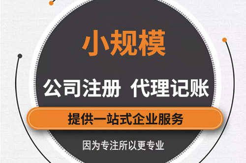 小規(guī)模納稅人如何報稅，能否在網(wǎng)上操作完成