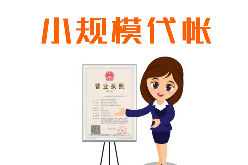小規(guī)模納稅人如何報稅，能否在網(wǎng)上操作完成